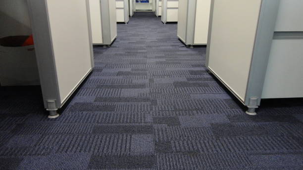 New carpet installation Novi MI